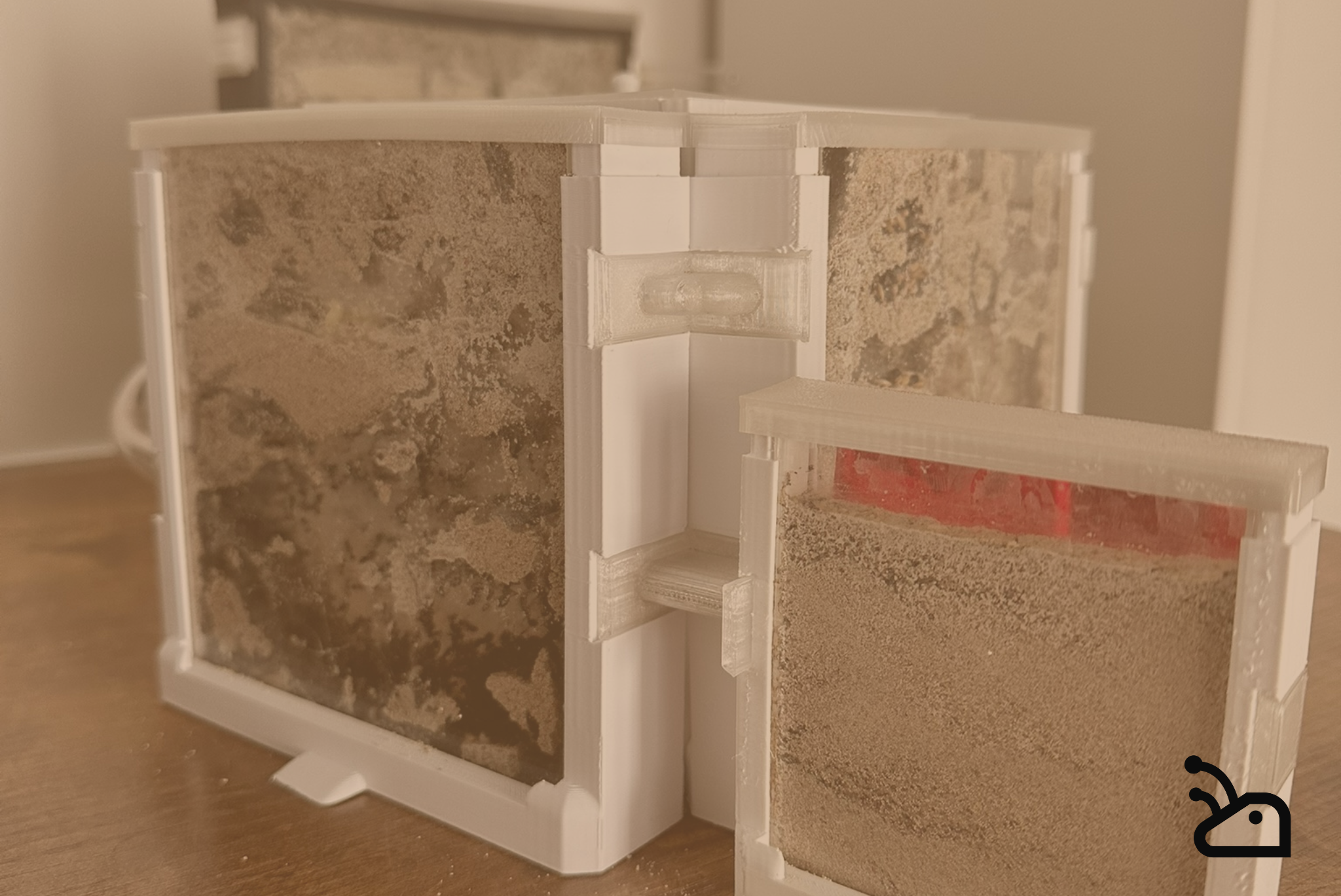 La fourmilière 3D : une révolution pour les passionnés de fourmis.