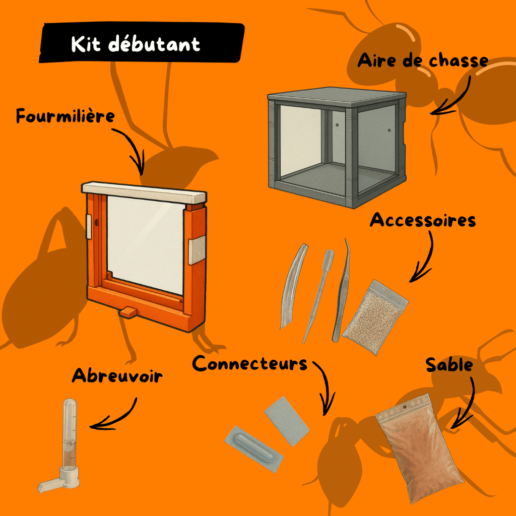 Kit débutant